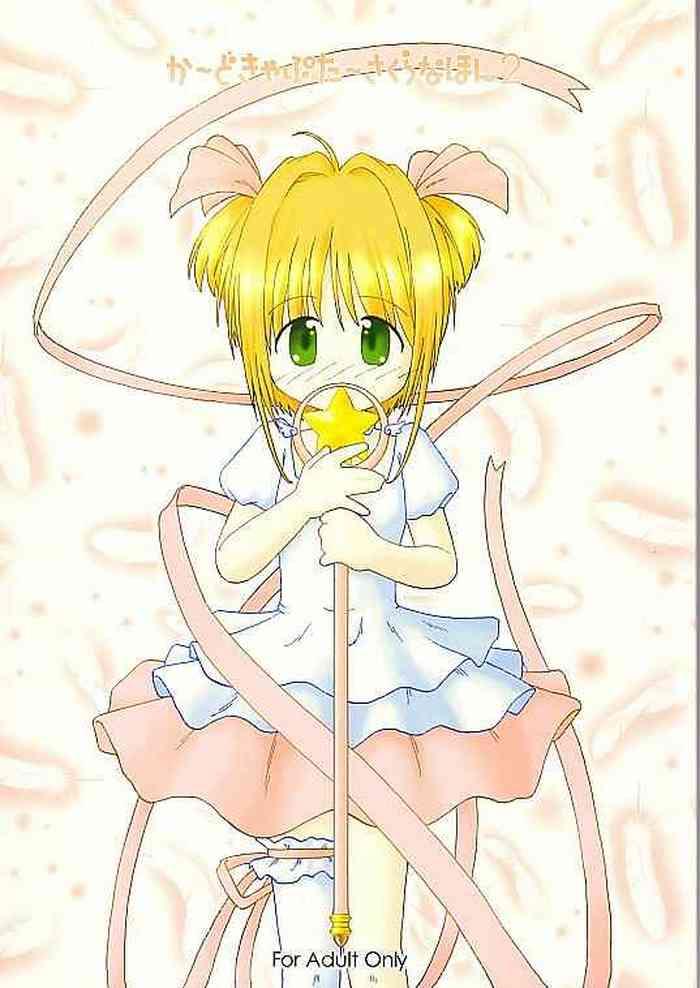 cardcaptor sakura na hon 2 cover