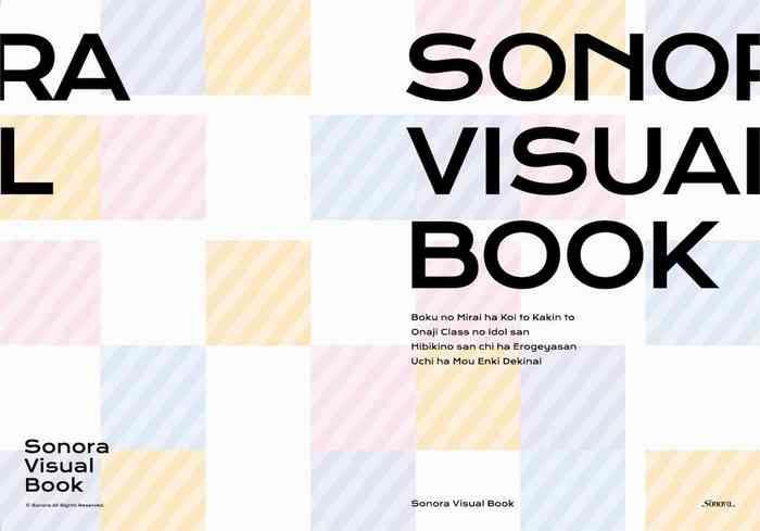 sonora visual book cover