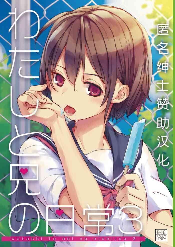 watashi to ani no nichijou 3 cover