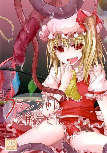 kisama soredemo ningenka tano flan chan to shokushu san touhou project digital cover