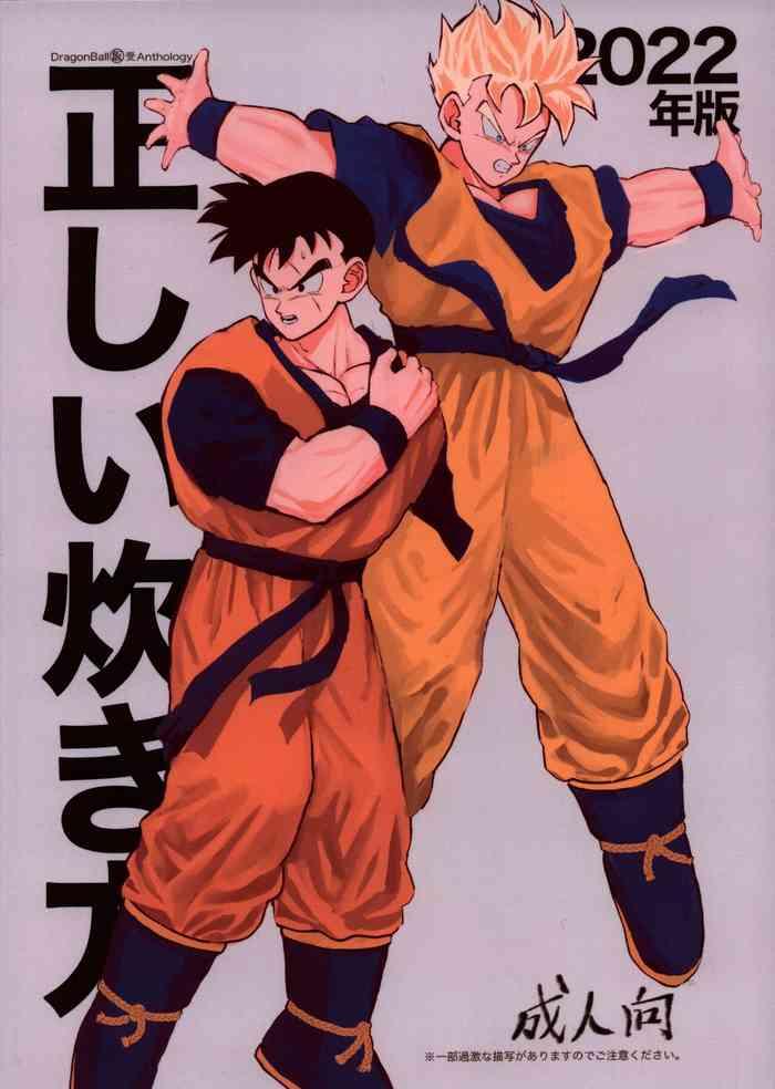 hakase 2022 nenban tadashii da ki kata dragon ball z cover