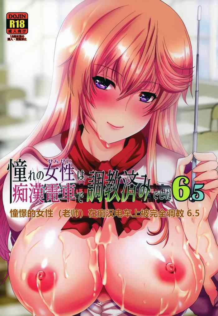 neko to hato hatoya mameshichi akogare no josei sensei wa chikan densha de choukyouzumi deshita 6 5 chinese rongjx cover