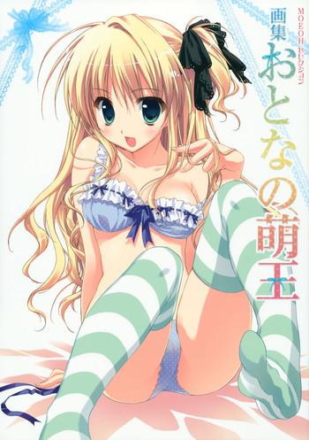 gashuu otona no moeoh cover