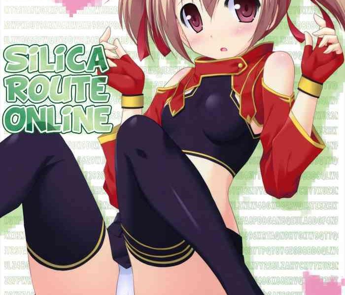 silica route online cover