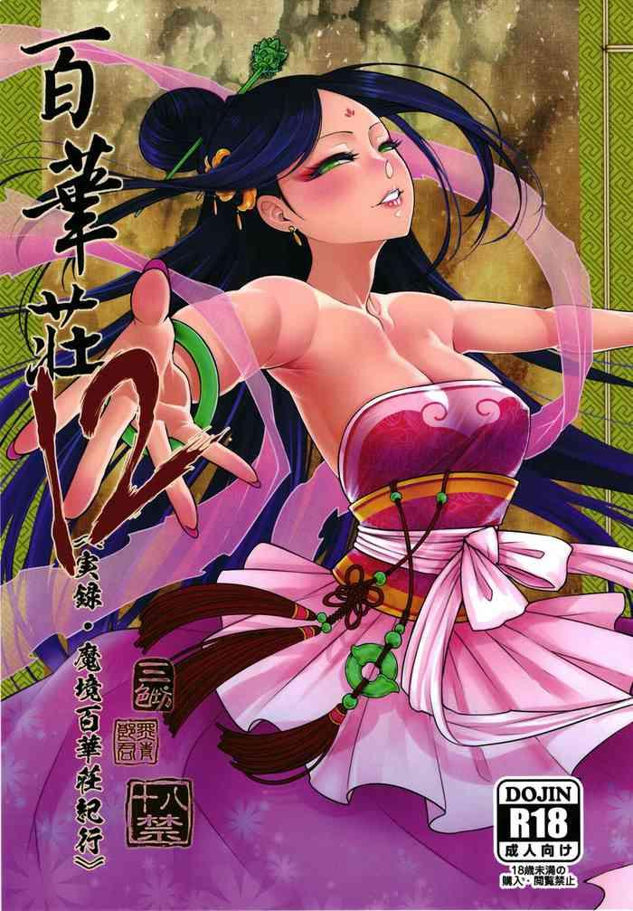 hyakkasou 12 lt lt jitsuroku makyou hyakkasou kikou gt gt cover